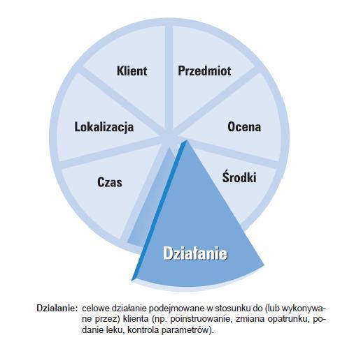 ICNP model