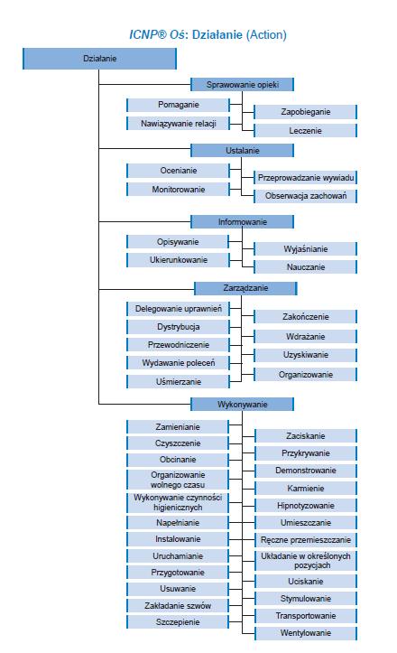 ICNP model