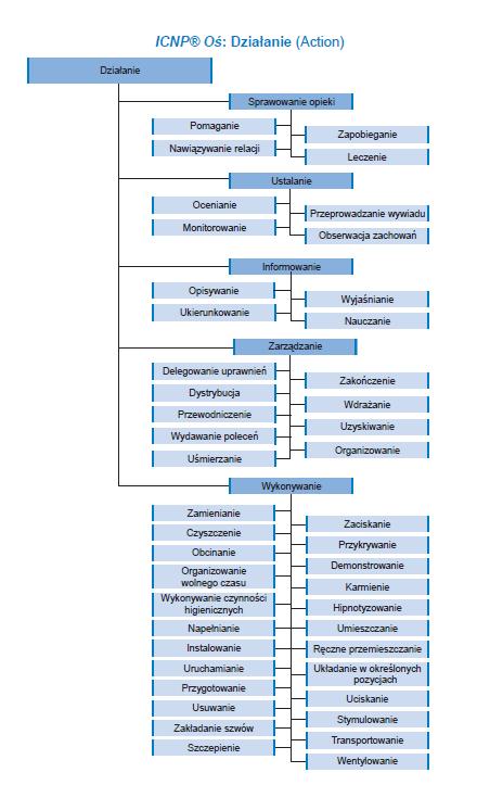 ICNP model