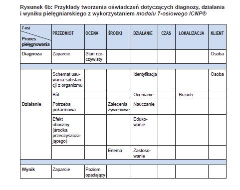 ICNP tworzenie diagnoz jednostka