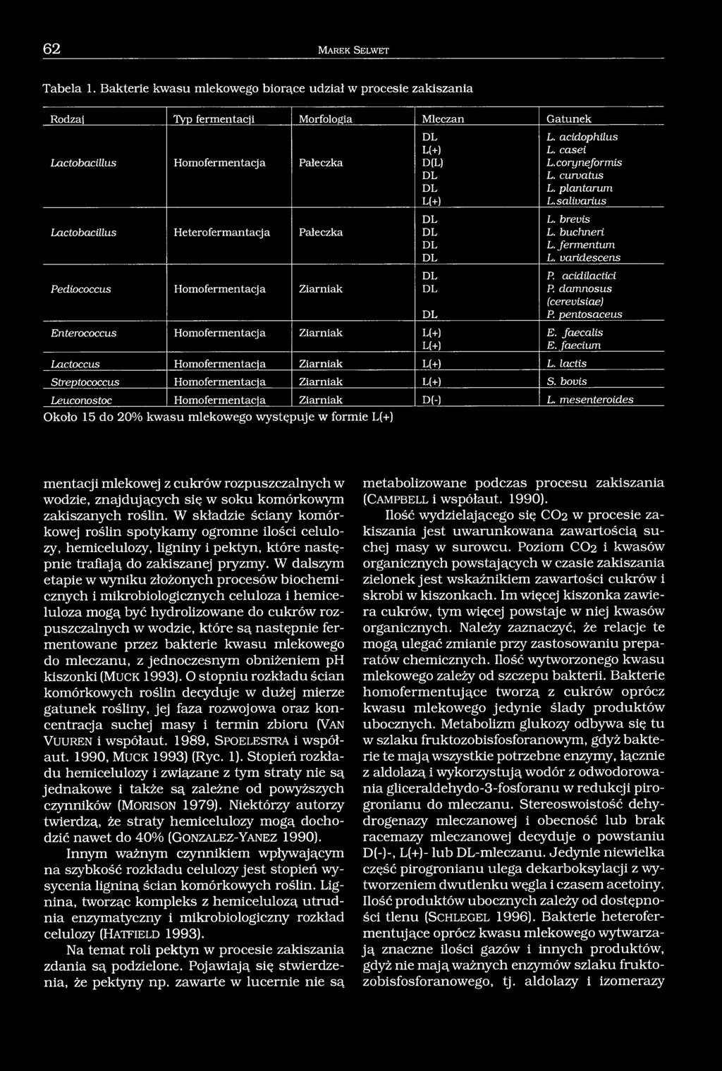 varidescens P. acidilactici Pediococcus Homofermentacj a Ziarniak P. damnosus (cerevisiae) P. pentosaceus Enterococcus Homofermentacj a Ziarniak L(+) E. faecalis L(+) E.