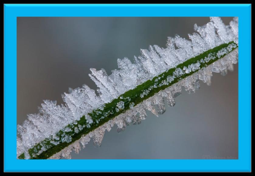 Śnieżynka powstaje nie tylko z wody i niskiej temperatury, ale także