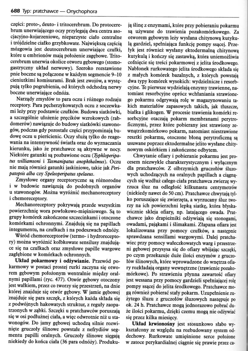 688 Typ: pratchawce Onychophora cz?sci: proto-j deuto- i tritocerebrum.