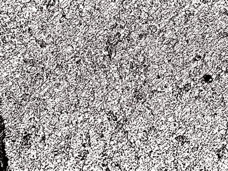 all the cavities are filled with white precipitate. Microstructure in this area is relatively dense, as one can see in image 9 and 10 (Fig. 2).