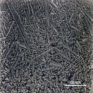 0,047 0,026 0,024 60 108 N [ppm] została głowica tego samego producenta, o oznaczeniu PN10-4C (4 MHz).