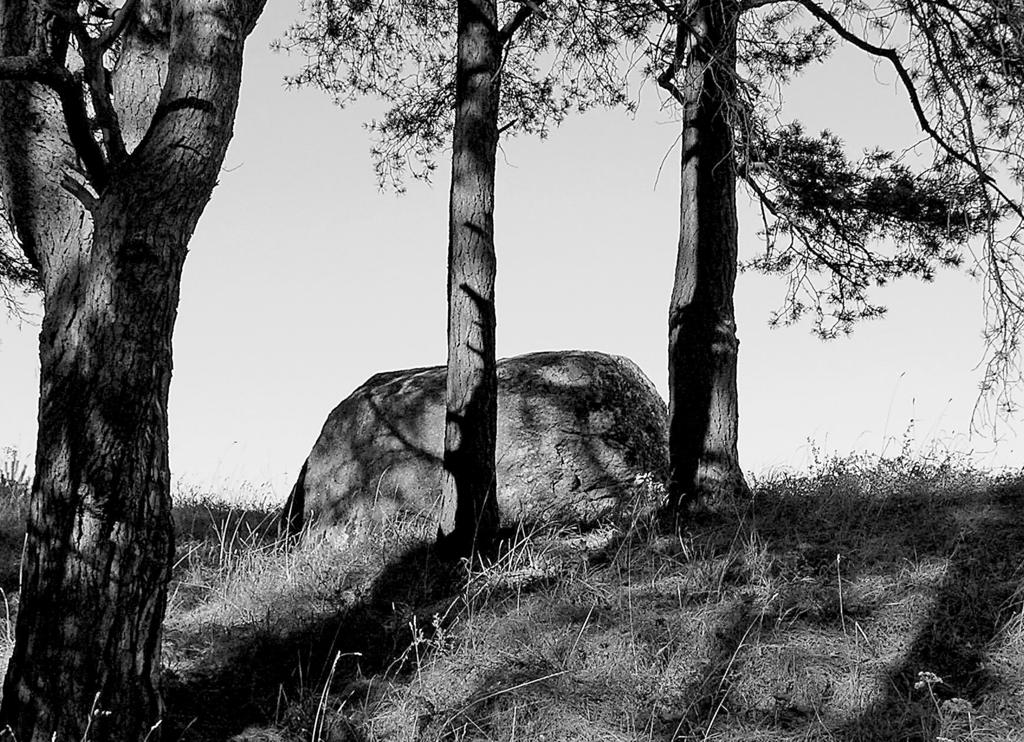 R. KLIMEK, Kamienie kultowe na ziemiach pruskich 23. Jakunówka, gm. Pozezdrze, niem. Jakunowken (od 1938 r. Jakunen), Kr.