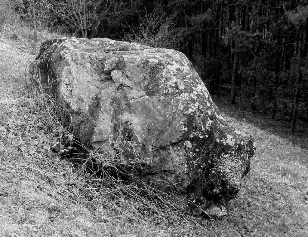 R. KLIMEK, Kamienie kultowe na ziemiach pruskich 41. Maternick położenie miejscowości nie ustalone Według Praetoriusa, na pograniczu sambijsko-żmudzkim (?