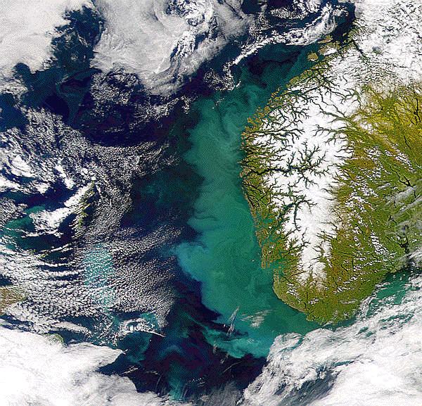 Fraktale naturalne: przykłady Clouds are not spheres, mountains are not