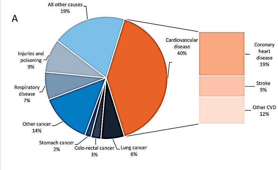 Proportion of all deaths due to major causes in