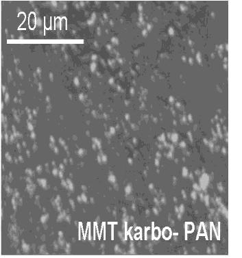 W przypadku nanokompozytowego materiału, w którym nanododatkiem był MMT-karbo obserwuje się równomierną dyspersję nanonapełaniacza przekładającą się bezpośrednio na jego wysokie wartości