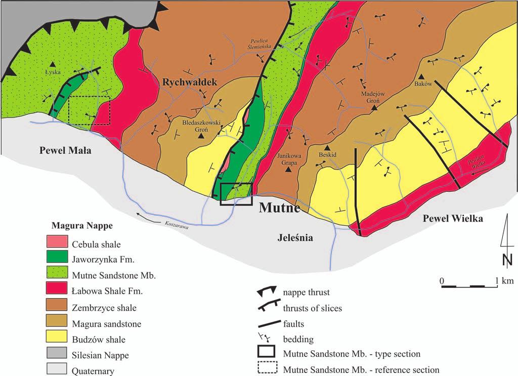 272 M. C ESZ KOWSK ET AL. Fig. 2.