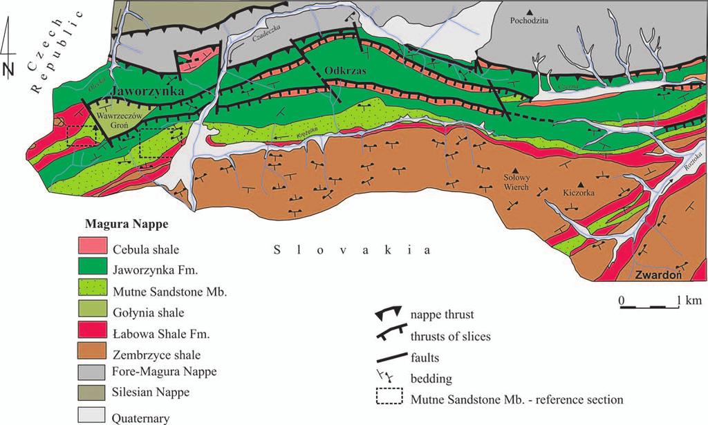 TYPE LO CAL TY OF THE MUTNE SAND STONE MEMBER 273 Fig. 3. Lo cal iza tion of the Mutne Sand stone Mb. ref er ence sec tion in the Jaworzynka area (map af ter Burtan, 1973a mod i fied) 5, 6).