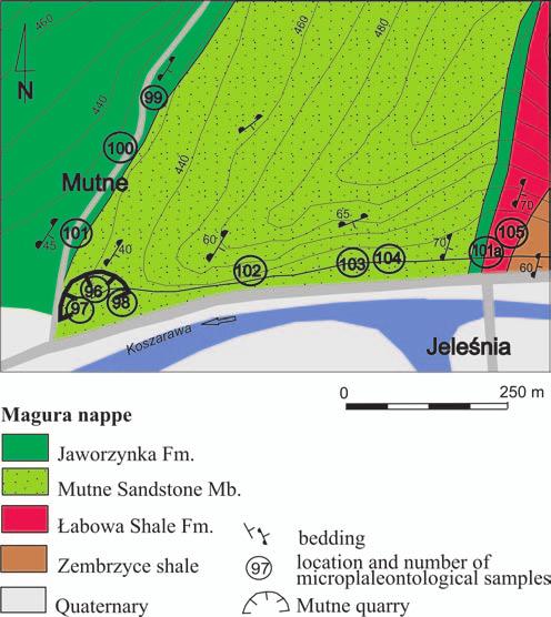 TYPE LO CAL TY OF THE MUTNE SAND STONE MEMBER 277 the investigated assemblages are typical for late Senonian Paleocene, namely: Glomospira diffundens Cushman et Renz, Annectina grzybowskii