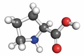Zn,6% (30g/l) GOLD BMo Kompleks SEACTIV B 5,7% (70g/l) Mo 0,35% (4g/l) 3-3-4l/ha 3- Nawóz płynny z kompleksem FERTIACTYL.