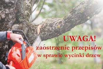 Wycinka drzew na terenach nieleśnych - tylko po zgłoszeniu w Urzędzie Od czerwca br. obowiązują nowe przepisy dotyczące zasady usuwania drzew i krzewów na terenach nieleśnych.