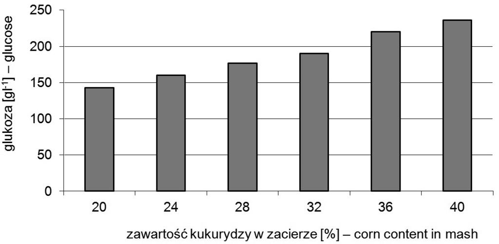 Rys. 12. Początkowe stężenie glukozy w zacierach kukurydzianych o wzrastającej zawartości surowca Fig. 12. Initial glucose concentration in corn mashes of increasing raw material content Rys. 13.