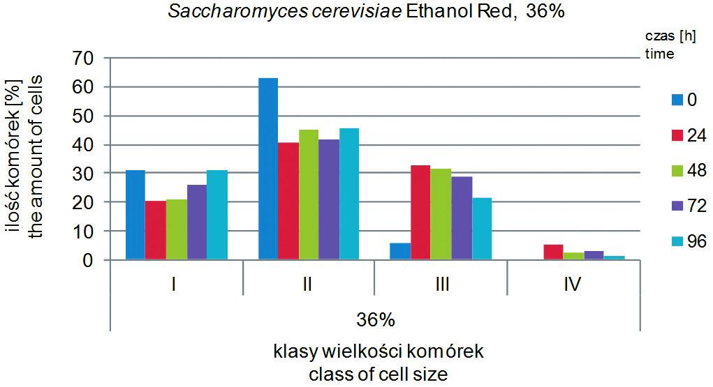 66 Rys. 32. Udział komórek drożdży S.