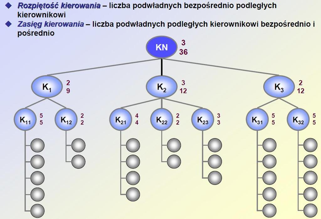 Rozpiętość i