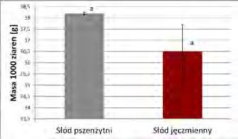 Odpowiednia masa tysiąca ziaren jest istotna w procesie słodowania, gdyż umożliwia zachodzenie równomiernego namaczana, a tym samym i kiełkowania ziarna.