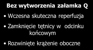 Zamknięcie subtotalne Dobrze rozwinięte krążenie oboczne Osoby starsze Po przebytych zawałach serca