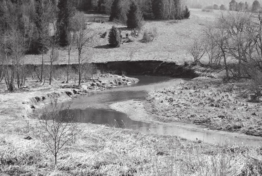 A. Kacprzak, M. Drewnik, Ł. Musielok Właściwości i klasyfikacja... 287 Ryc. 4. Meandrujący odcinek Sanu w rejonie Tarnawy Wyżnej. Fig. 4. Meanders of the River San near Tarnawa Wyżna.