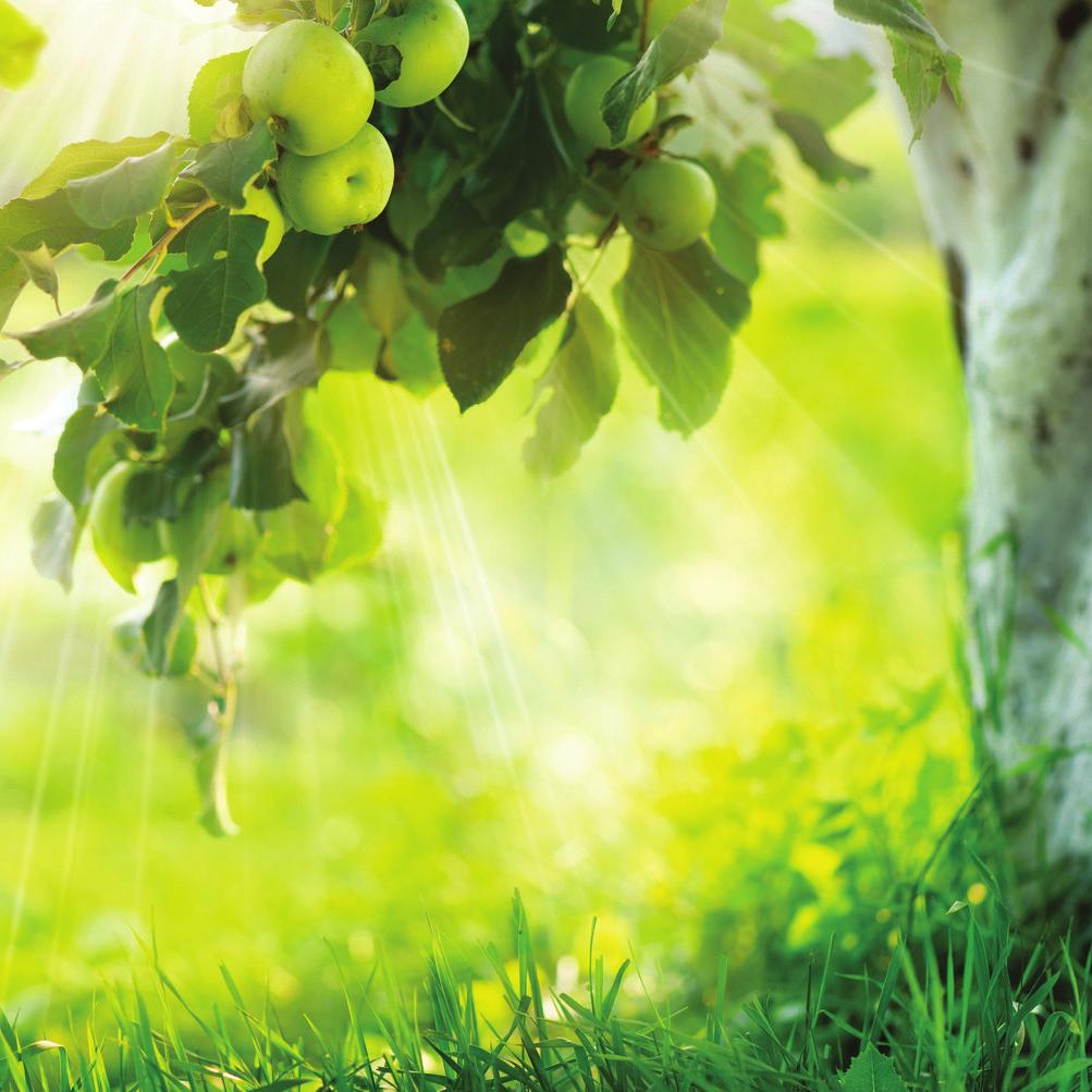 GREEN HAS ITALIA jest włoską firmą, produkującą nawozy do odżywiania i stymulowania roślin.