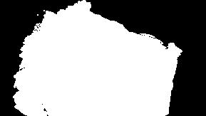 wydajność: 4 m²/l