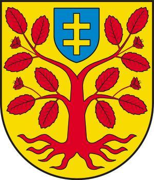 1 INFORMACJA O REALIZACJI ZADAŃ OŚWIATOWYCH W GMINIE ZBUCZYN W ROKU SZKOLNYM 2011/2012 I. Wstęp i metryczka Gminy Zbuczyn.