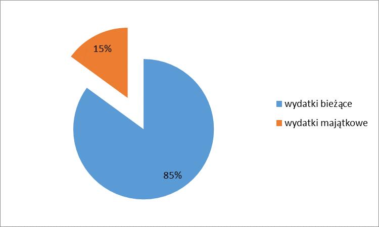 ZADANIA WŁASNE W analizowanym okresie w ramach zadań własnych wydatkowano kwotę ogółem 146.655.128,20 zł, tj. 38,3 planu, w tym na: MIASTO zad. własne plan wykonanie wydatki bieżące 261.073.