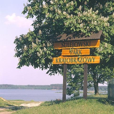 Sulejowski Park Krajobrazowy powstały w 1994 roku (4200 ha powierzchni gminy) położony jest w zasięgu geograficznego występowania świerka pospolitego, jodły pospolitej, buka, klonu oraz jawora.