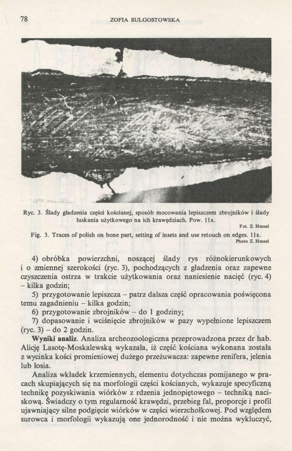 78 ZOFIA SULGOSTOWSKA Ryc. 3. Ślady gładzenia części kościanej, sposób mocowania lepiszczem zbrojników i ślady łuskania użytkowego na ich krawędziach. Pow. llx. Fot. Z. Hensel Fig. 3. Traces of polish on bone part, setting of insets and use retouch on edges, llx.