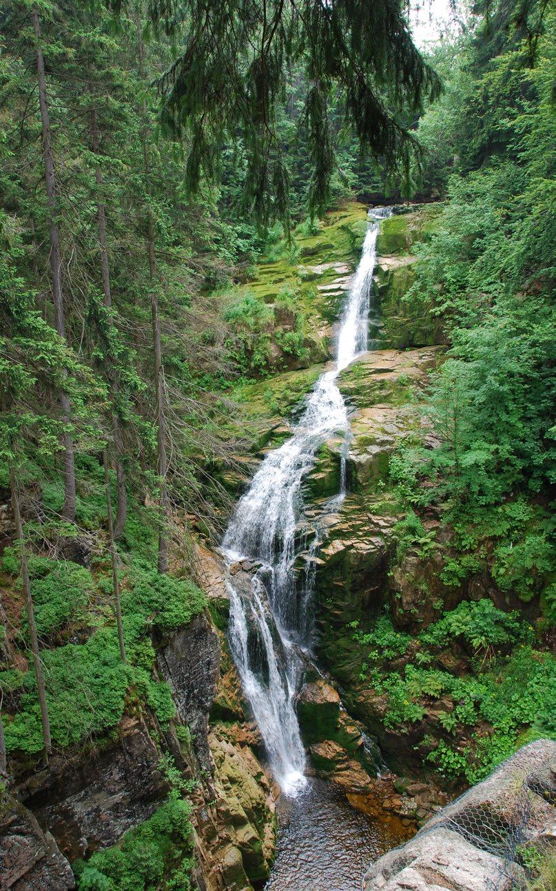 Główny obszarem źródliskowym rzek są polskie góry Karpaty i Sudety.