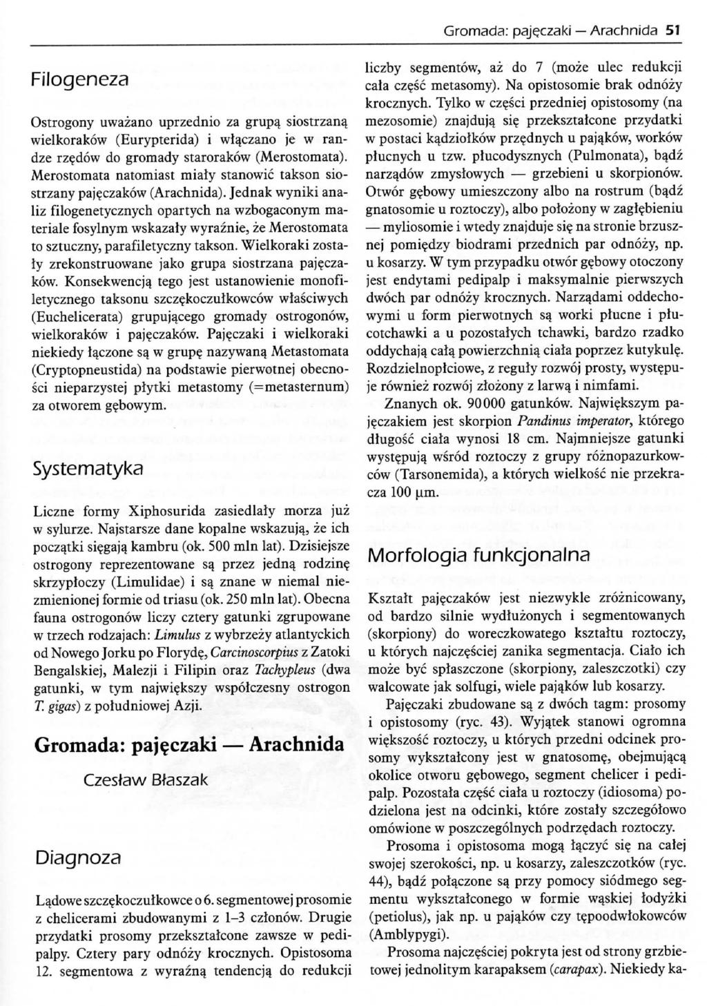 Gromada: paj^czaki Arachnida 51 Ostrogony uwazano uprzednio za grupa_ siostrzana_ wielkorakow (Eurypterida) i wtaczano je w randze rz?dow do gromady starorakow (Merostomata).