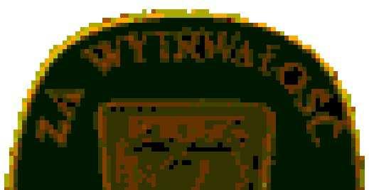TURYSTYKI  I.