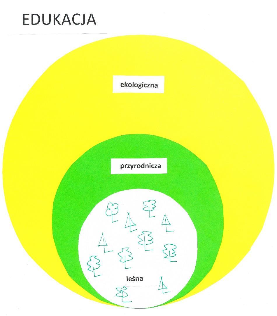 W LP - najpierw edukacja leśna EDUKACJA LEŚNA obejmuje niewielką