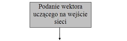 Dane wejściowe ze zbioru uczącego Istota