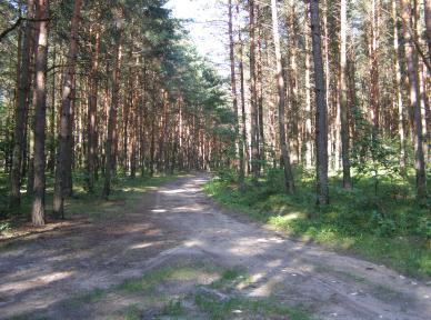 kierunku ulicy Urocza w Balinie, pod drugą idąc od zachodu drogę odbijającą w kierunku