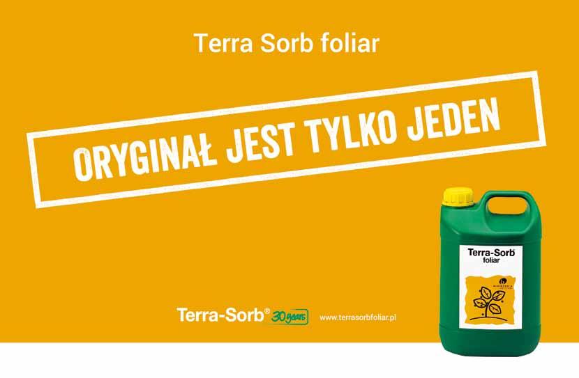 FAO 0 hobbit Bajecznie zielona i fantastycznie plonująca