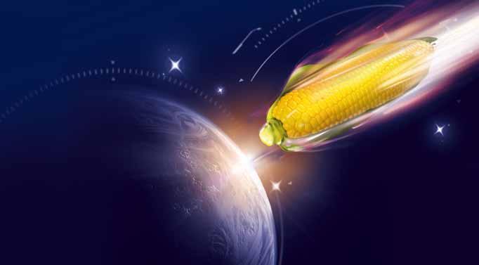 FAO 0 0 ES METEORIT Kosmiczne plony Rejestracja: Polska 0 Hodowla: Euralis ZDROWOTNOŚĆ genetyka Tropical Dent Corn Hybrid gwarancja bardzo wysokich plonów rekordowe
