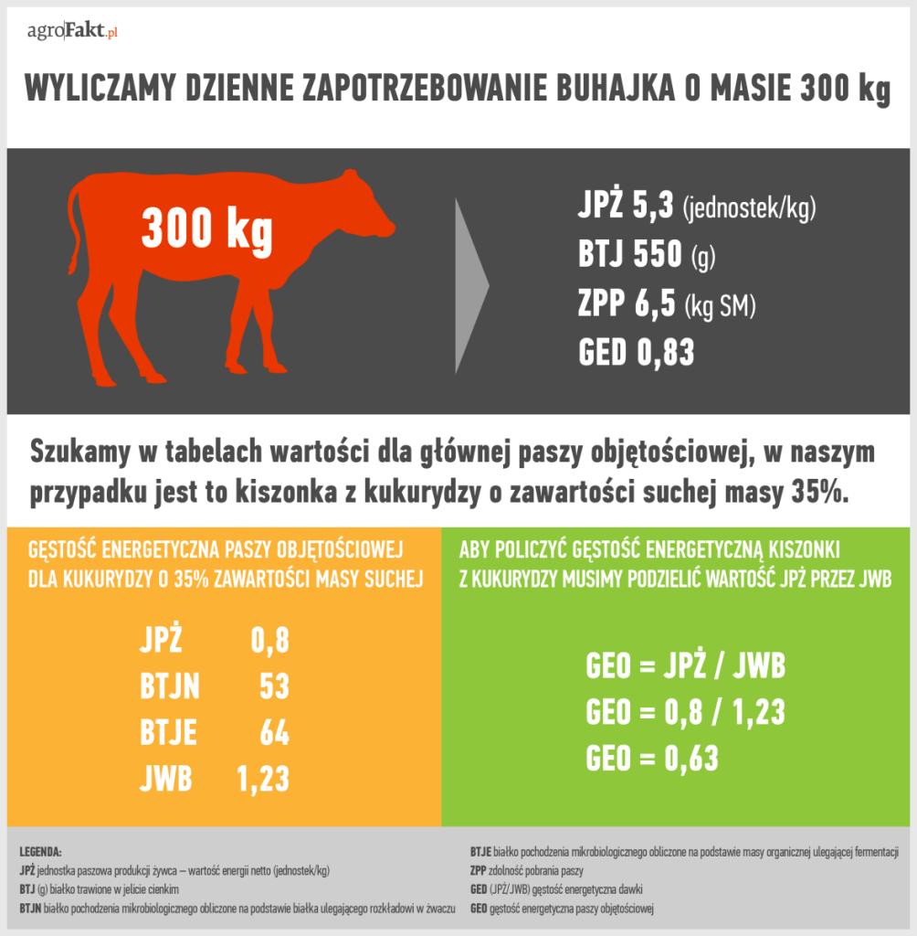 .pl Przykład wyliczenia dziennego