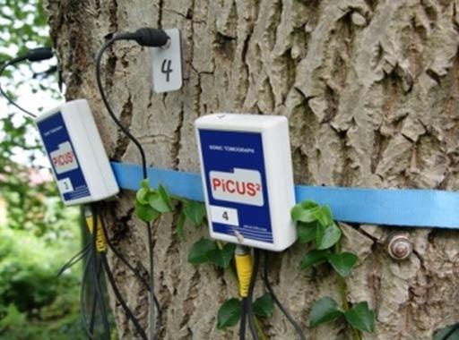 III. Hydrogelowa Iniekcja doglebowa Etap III opcja dodatkowa