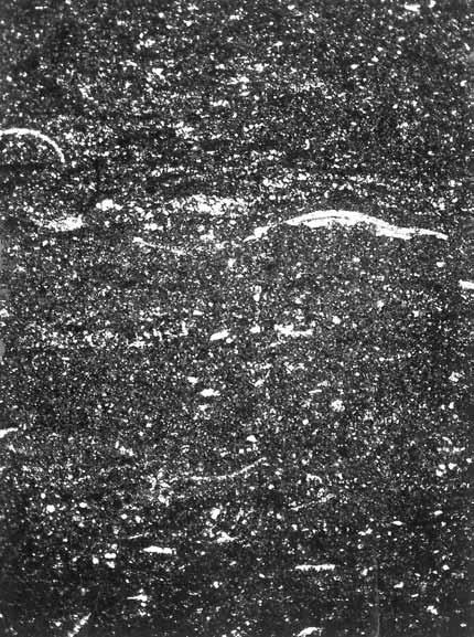 3743,0 m Kłanino Formation (A, B); Człuchów Formation Gorzysław Member (C), Strzeżewo Member (D) thin sections (Dadlez,