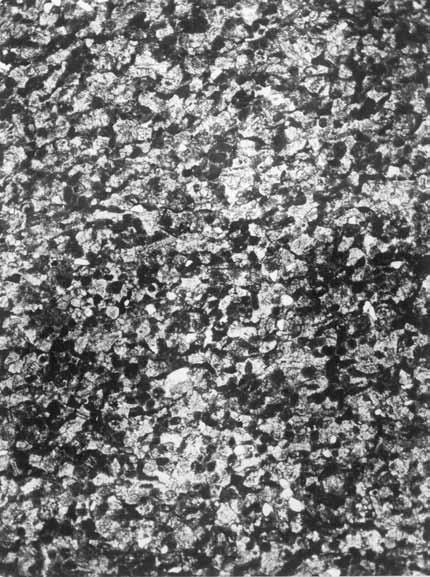 3 m; B biopelsparite limestone, subangular quartz grain in the centre, depth 3308.