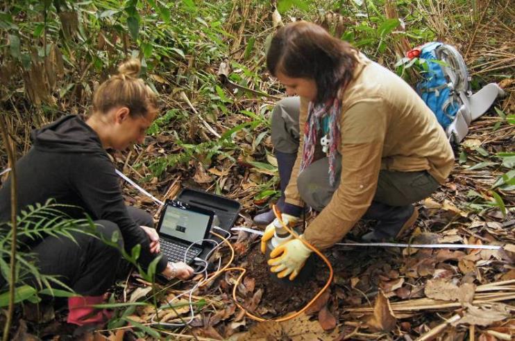 laboratorium: wczytanie danych do komputera, oszacowanie
