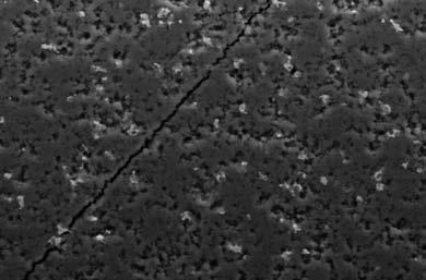 64 M. Gizowska, K. Konopka, M. Szafran In this case, the interaction of nickel particles with alumina may compete with the phenomena of the adsorption of citric acid at alumina particles surface.