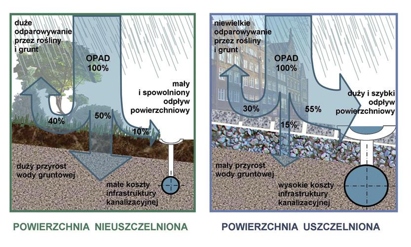 Usługi ekosystemów wodnych w miastach Rysunek 7.