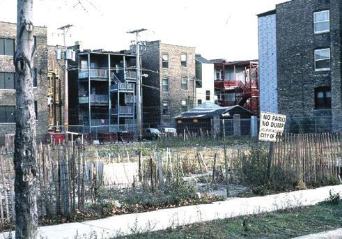 Program NeighborSpace Chicago (Stany Zjednoczone), w realizacji od 1996 Fot.