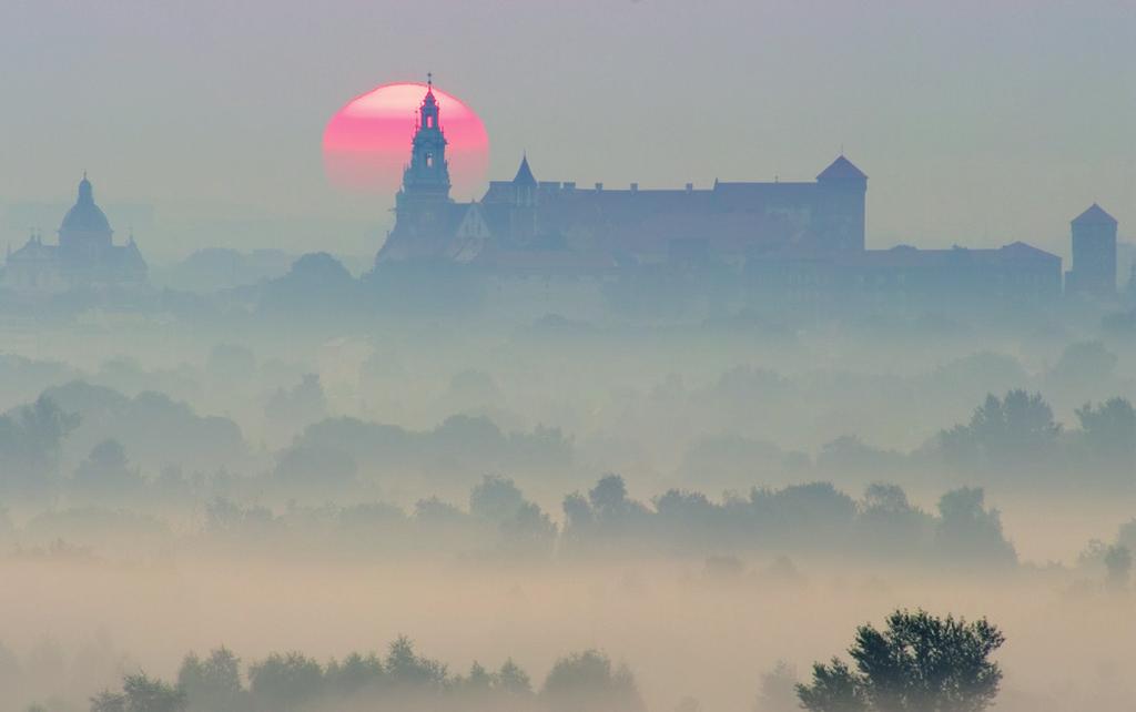 Dagmara Kwolek: Wawel Wyróz