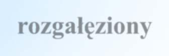 Obwody nierozgałęzione i rozgałęzione Obwód jest nierozgałęziony, jeżeli nie ma żadnych