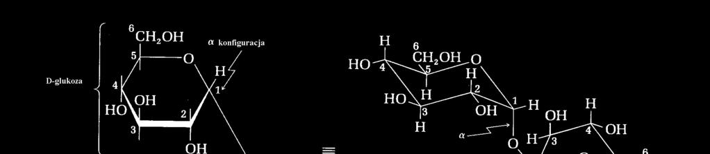 WĘGLWDANY Disacharydy WĘGLWDANY wiązanie,-α-glikozydowe Disacharydy